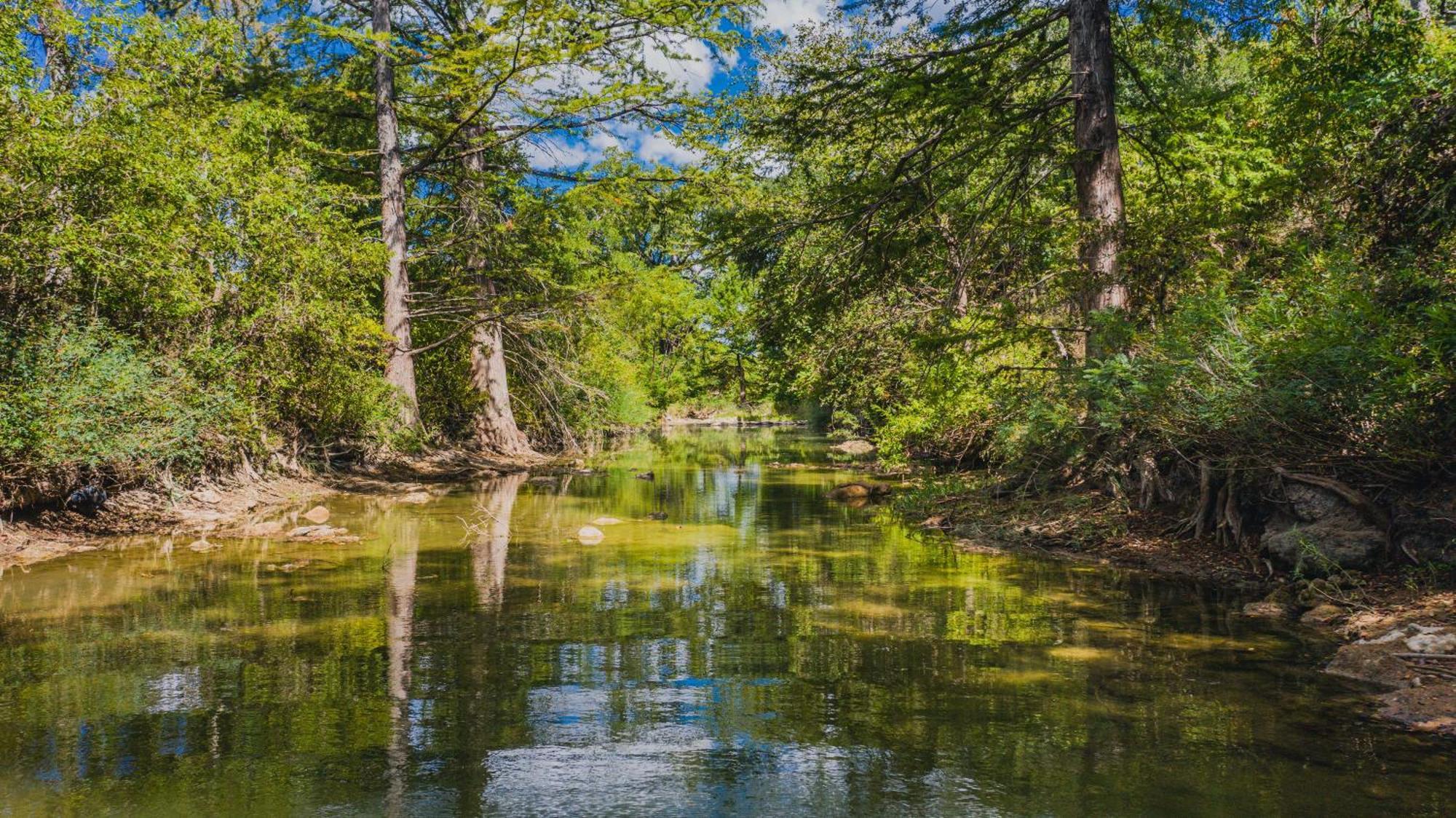 Pecan Cabin Fredericksburg Ngoại thất bức ảnh