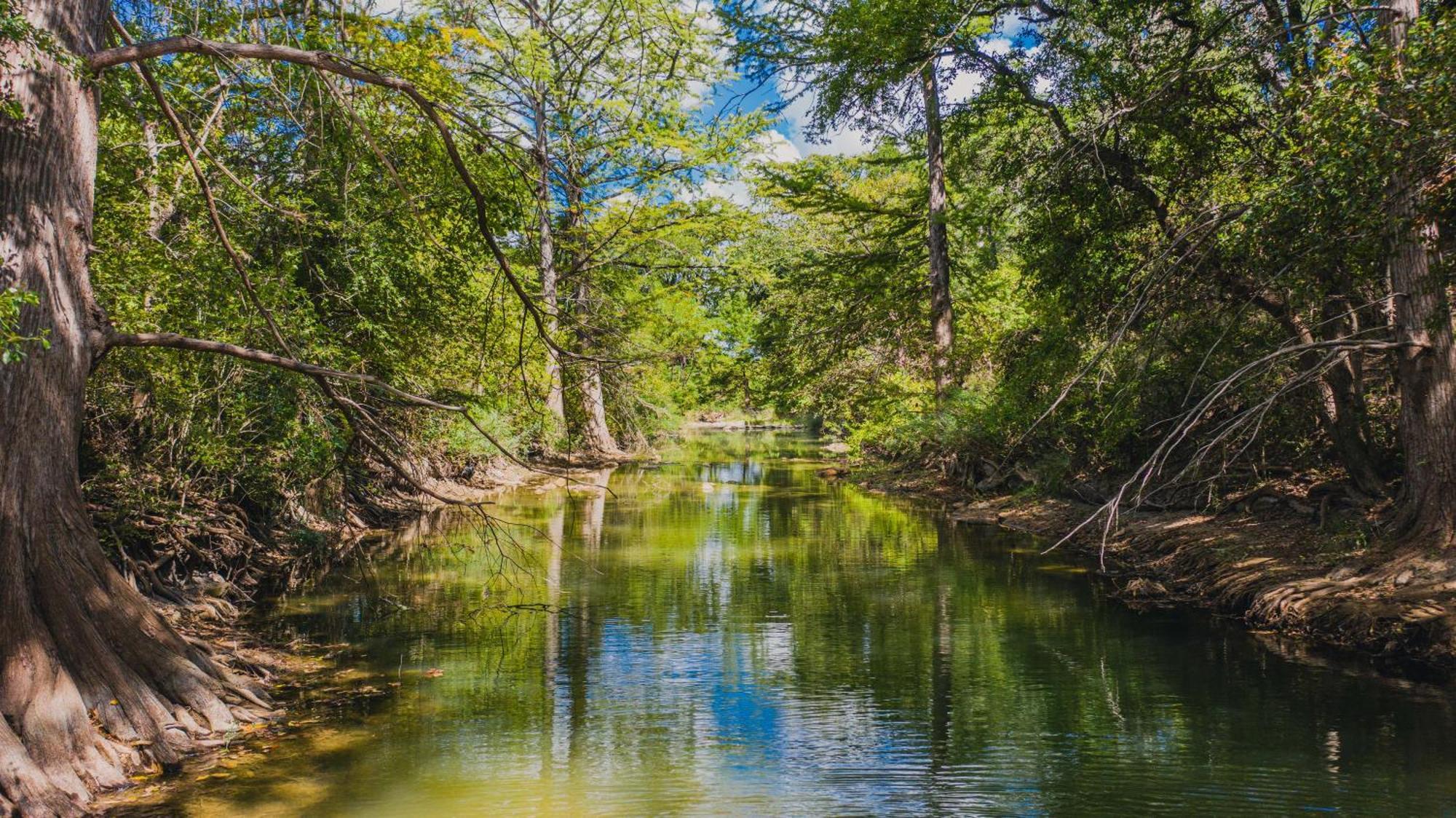 Pecan Cabin Fredericksburg Ngoại thất bức ảnh